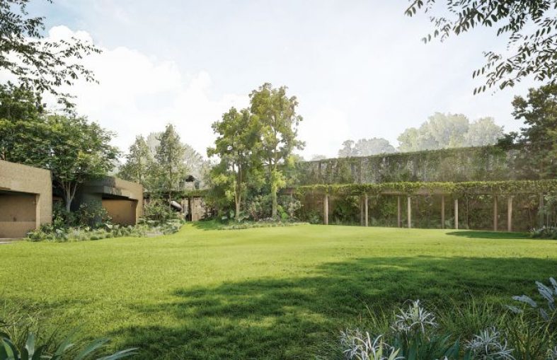 lawn 1